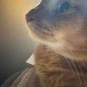 ヒメ日記 2025/08/18 09:18 投稿 ハル ヴィーナス(金津園)