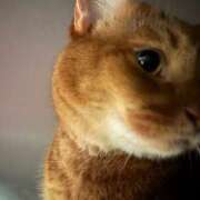 ヒメ日記 2025/09/05 16:27 投稿 ハル ヴィーナス(金津園)