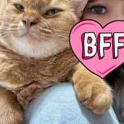 ヒメ日記 2025/09/29 19:54 投稿 ハル ヴィーナス(金津園)