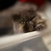 ヒメ日記 2025/10/03 08:18 投稿 ハル ヴィーナス(金津園)