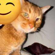 ヒメ日記 2025/10/14 10:57 投稿 ハル ヴィーナス(金津園)