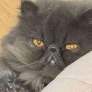 ヒメ日記 2025/10/20 22:27 投稿 ハル ヴィーナス(金津園)