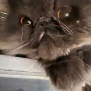 ヒメ日記 2025/10/21 14:36 投稿 ハル ヴィーナス(金津園)