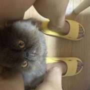 ヒメ日記 2025/11/05 09:12 投稿 ハル ヴィーナス(金津園)