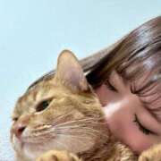 ヒメ日記 2025/11/07 20:00 投稿 ハル ヴィーナス(金津園)