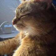 ヒメ日記 2025/11/08 17:48 投稿 ハル ヴィーナス(金津園)