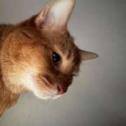 ヒメ日記 2025/11/18 09:18 投稿 ハル ヴィーナス(金津園)