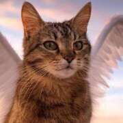 ヒメ日記 2025/11/29 22:42 投稿 ハル ヴィーナス(金津園)