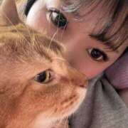 ヒメ日記 2026/01/09 11:03 投稿 ハル ヴィーナス(金津園)