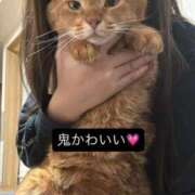 ヒメ日記 2026/01/27 08:54 投稿 ハル ヴィーナス(金津園)