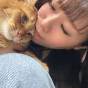 ヒメ日記 2026/02/26 21:12 投稿 ハル ヴィーナス(金津園)