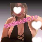 ヒメ日記 2025/07/27 15:09 投稿 れな G-STAGE