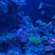 ヒメ日記 2025/12/03 23:29 投稿 れな G-STAGE（京都グループ）