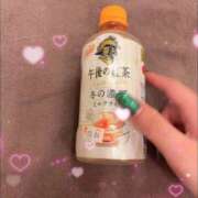 ヒメ日記 2026/04/14 17:18 投稿 れな G-STAGE