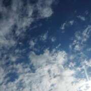 ヒメ日記 2024/12/19 09:41 投稿 ちさと 恋のうた