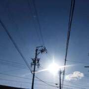 ヒメ日記 2024/12/28 09:43 投稿 ちさと 恋のうた