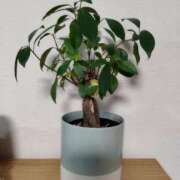 ヒメ日記 2025/01/06 09:41 投稿 ちさと 恋のうた