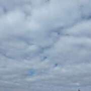 ヒメ日記 2025/02/28 09:42 投稿 ちさと 恋のうた