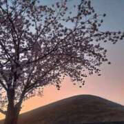 ヒメ日記 2025/04/09 09:40 投稿 ちさと 恋のうた