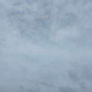 ヒメ日記 2025/05/12 09:49 投稿 ちさと 恋のうた