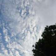 ヒメ日記 2025/06/12 09:47 投稿 ちさと 恋のうた