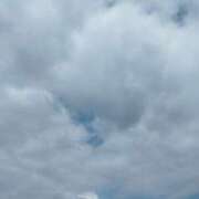 ヒメ日記 2025/08/01 09:42 投稿 ちさと 恋のうた