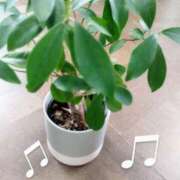 ヒメ日記 2025/08/03 09:44 投稿 ちさと 恋のうた