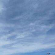 ヒメ日記 2025/08/22 09:48 投稿 ちさと 恋のうた