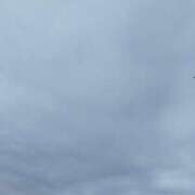 ヒメ日記 2025/10/10 09:47 投稿 ちさと 恋のうた