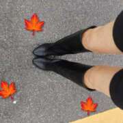 ヒメ日記 2025/10/21 09:55 投稿 ちさと 恋のうた