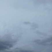 ヒメ日記 2025/10/31 09:47 投稿 ちさと 恋のうた