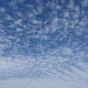 ヒメ日記 2025/11/24 09:53 投稿 ちさと 恋のうた