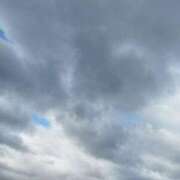 ヒメ日記 2025/12/26 09:48 投稿 ちさと 恋のうた