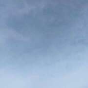 ヒメ日記 2025/12/31 09:48 投稿 ちさと 恋のうた