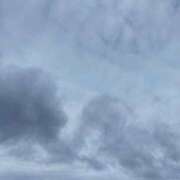 ヒメ日記 2026/01/20 09:47 投稿 ちさと 恋のうた