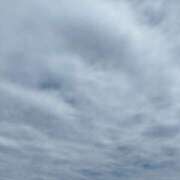 ヒメ日記 2026/04/13 09:42 投稿 ちさと 恋のうた