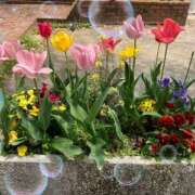 ヒメ日記 2025/04/24 11:33 投稿 まこ 完熟ばなな西川口