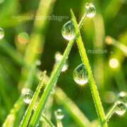 ヒメ日記 2025/09/08 05:53 投稿 まこ 完熟ばなな西川口