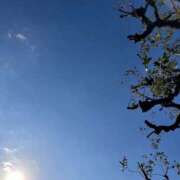 ヒメ日記 2025/09/17 08:53 投稿 まこ 完熟ばなな西川口