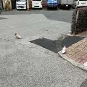 ヒメ日記 2025/09/23 09:33 投稿 まこ 完熟ばなな西川口