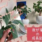 ヒメ日記 2025/09/27 09:23 投稿 まこ 完熟ばなな西川口