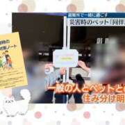 ヒメ日記 2025/09/27 20:03 投稿 まこ 完熟ばなな西川口