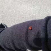 ヒメ日記 2025/11/04 09:53 投稿 まこ 完熟ばなな西川口