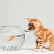 ヒメ日記 2025/11/08 18:03 投稿 まこ 完熟ばなな西川口