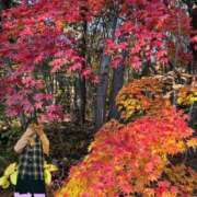 ヒメ日記 2025/11/10 23:23 投稿 まこ 完熟ばなな西川口