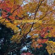 ヒメ日記 2025/11/18 09:33 投稿 まこ 完熟ばなな西川口