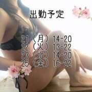 ヒメ日記 2025/04/19 20:55 投稿 なごみ 池袋人妻ヒットパレード（シンデレラグループ）