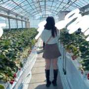 ヒメ日記 2025/03/22 09:00 投稿 ゆあ カリビアン