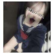 ヒメ日記 2025/10/09 11:28 投稿 みみ カリビアン