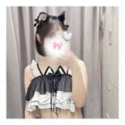 ヒメ日記 2025/10/29 21:25 投稿 みみ カリビアン